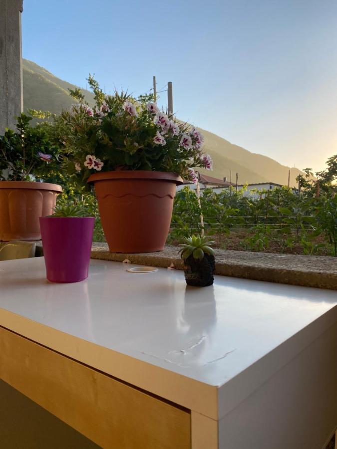 Casa Antonia Villa Pimonte Eksteriør bilde